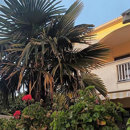 Studio Apartman Casper Zadar Exterior photo